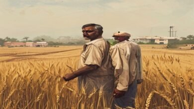 بہار میں گندم کی سرکاری خریداری سست روی کا شکار: کسانوں کو کھلی منڈی میں زیادہ قیمتیں مل رہی ہیں