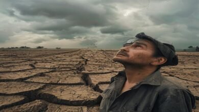 مظفرپور میں خشک سالی کا خطرہ: جون میں معمول سے 54 فیصد کم بارش، دھان کی بوائی متاثر
