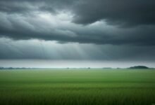 بہار میں مون سون کی سست روی: کیا بارش کا انتظار طویل ہوگا؟