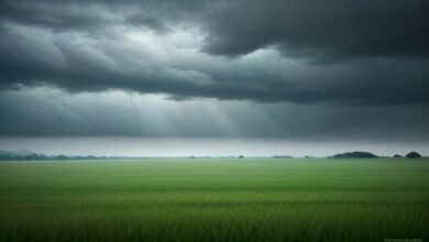 بہار میں مون سون کی سست روی: کیا بارش کا انتظار طویل ہوگا؟