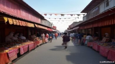 بابا گنیش ناتھ جنم اتسو: مظفرپور میں پلویا میلے کی تیاریاں عروج پر